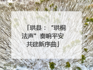 珙县：“珙桐法声”奏响平安共建新序曲