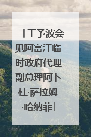 王予波会见阿富汗临时政府代理副总理阿卜杜·萨拉姆·哈纳菲