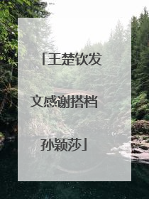 王楚钦发文感谢搭档孙颖莎