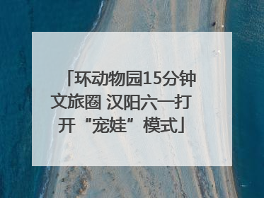 环动物园15分钟文旅圈 汉阳六一打开“宠娃”模式