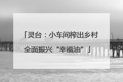 灵台：小车间榨出乡村全面振兴“幸福油”