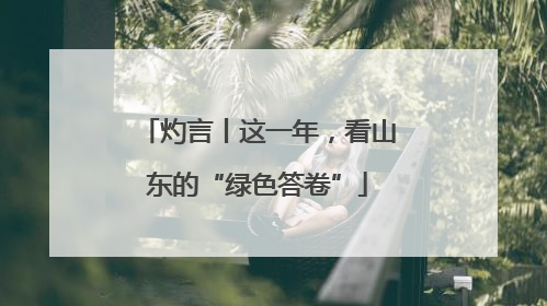 灼言丨这一年，看山东的“绿色答卷”