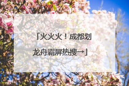 火火火！成都划龙舟霸屏热搜→