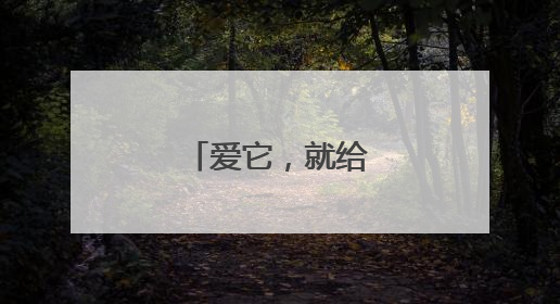 爱它，就给它自由！