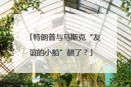 特朗普与马斯克“友谊的小船”翻了？
