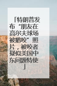 特朗普发布“朋友在高尔夫球场被鹅咬”照片，被咬者疑似美国中东问题特使