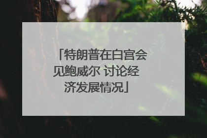 特朗普在白宫会见鲍威尔 讨论经济发展情况