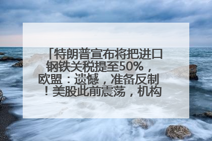 特朗普宣布将把进口钢铁关税提至50%，欧盟：遗憾，准备反制！美股此前震荡，机构：美元正进入熊市