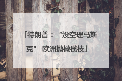 特朗普：“没空理马斯克” 欧洲抛橄榄枝