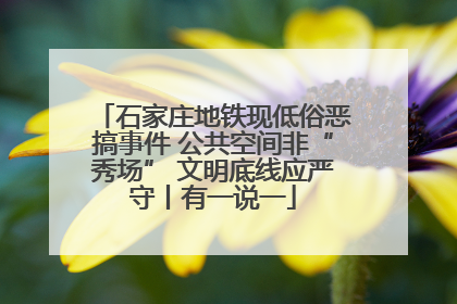 石家庄地铁现低俗恶搞事件 公共空间非“秀场” 文明底线应严守丨有一说一