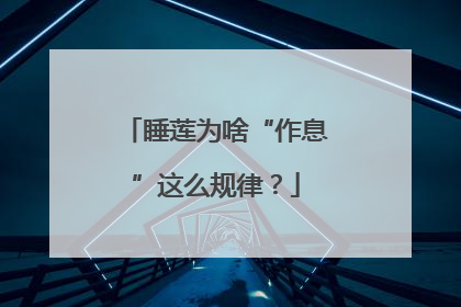 睡莲为啥“作息”这么规律？