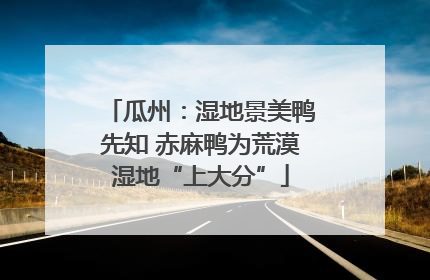 瓜州：湿地景美鸭先知 赤麻鸭为荒漠湿地“上大分”