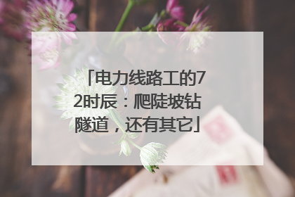 电力线路工的72时辰：爬陡坡钻隧道，还有其它