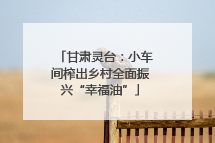 甘肃灵台：小车间榨出乡村全面振兴“幸福油”