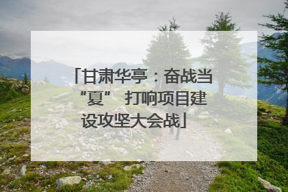 甘肃华亭：奋战当“夏” 打响项目建设攻坚大会战