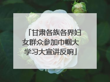 甘肃各族各界妇女群众参加巾帼大学习大宣讲反响