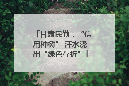 甘肃民勤：“信用种树” 汗水浇出“绿色存折”