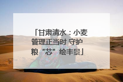 甘肃清水：小麦管理正当时 守护粮“芯”绘丰景