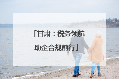甘肃：税务领航 助企合规前行