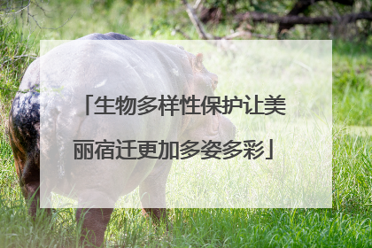 生物多样性保护让美丽宿迁更加多姿多彩