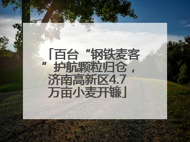百台“钢铁麦客”护航颗粒归仓，济南高新区4.7万亩小麦开镰