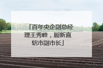 百年央企副总经理王秀峰，履新直辖市副市长