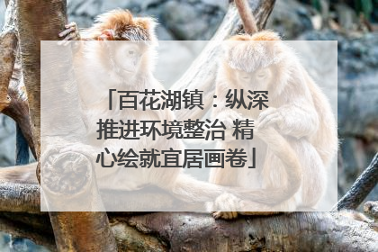 百花湖镇：纵深推进环境整治 精心绘就宜居画卷