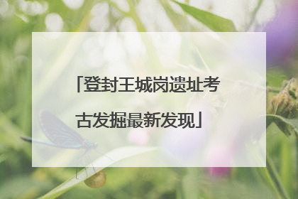 登封王城岗遗址考古发掘最新发现