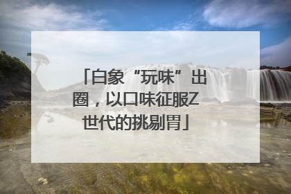 白象“玩味”出圈，以口味征服Z世代的挑剔胃