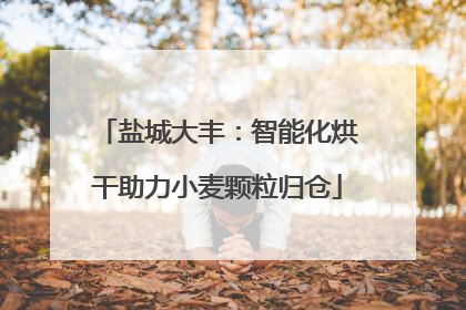 盐城大丰：智能化烘干助力小麦颗粒归仓