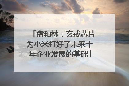 盘和林：玄戒芯片为小米打好了未来十年企业发展的基础