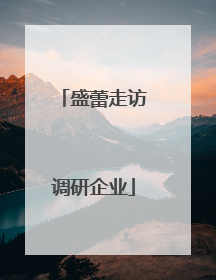 盛蕾走访调研企业