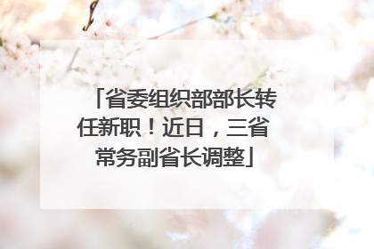 省委组织部部长转任新职！近日，三省常务副省长调整