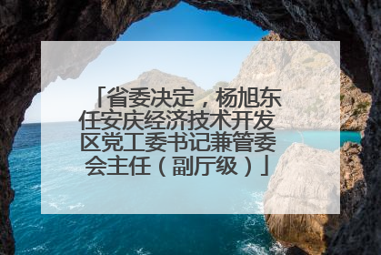 省委决定，杨旭东任安庆经济技术开发区党工委书记兼管委会主任（副厅级）