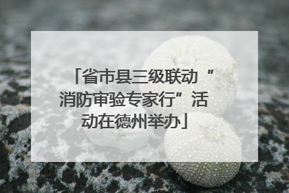 省市县三级联动“消防审验专家行”活动在德州举办