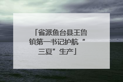 省派鱼台县王鲁镇第一书记护航“三夏”生产
