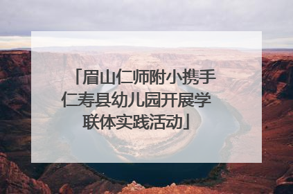 眉山仁师附小携手仁寿县幼儿园开展学联体实践活动