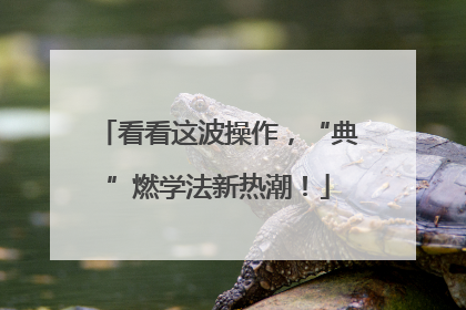 看看这波操作，“典”燃学法新热潮！