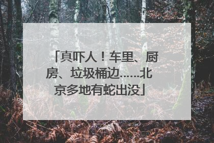 真吓人！车里、厨房、垃圾桶边……北京多地有蛇出没