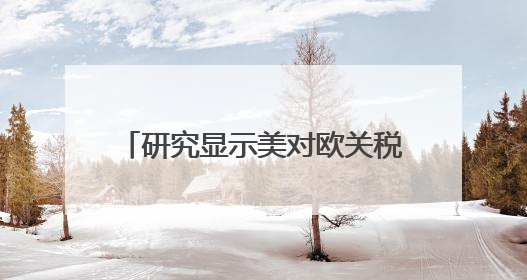 研究显示美对欧关税加码可能导致德国损失2500亿欧元