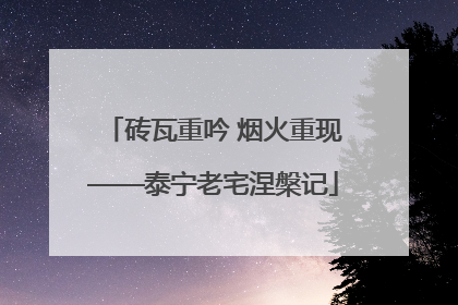 砖瓦重吟 烟火重现——泰宁老宅涅槃记