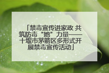 禁毒宣传进家政 共筑防毒“她”力量——十堰市茅箭区多形式开展禁毒宣传活动