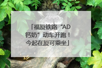 福厦铁路“AD钙奶”动车开跑！今起在厦可乘坐