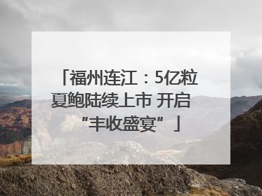 福州连江：5亿粒夏鲍陆续上市 开启“丰收盛宴”