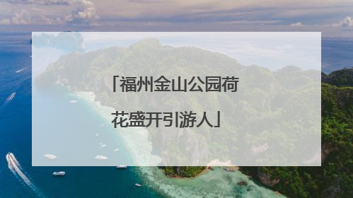 福州金山公园荷花盛开引游人