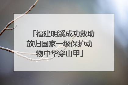 福建明溪成功救助放归国家一级保护动物中华穿山甲