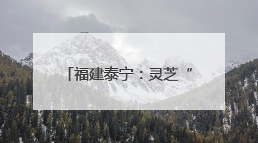 福建泰宁：灵芝“链”出富民新图景