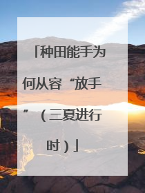 种田能手为何从容“放手”（三夏进行时）