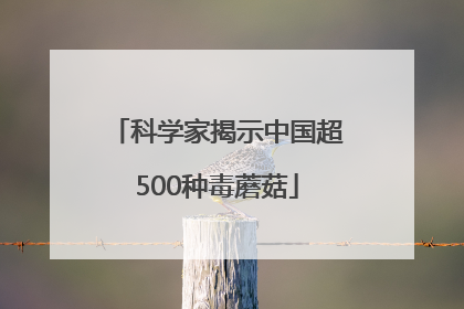 科学家揭示中国超500种毒蘑菇