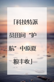 科技特派员田间“护航”中原夏粮丰收